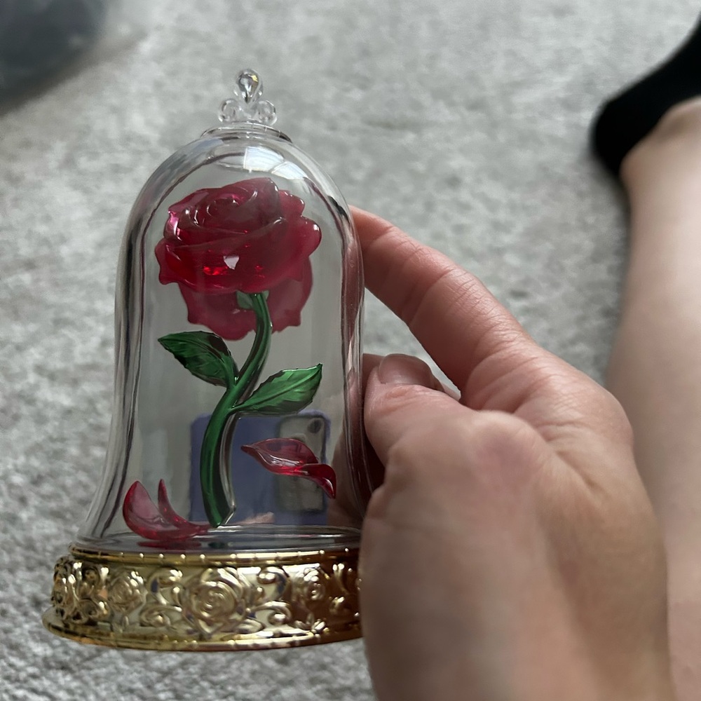 Enchanted Rose in Glass Dome Wall Flower